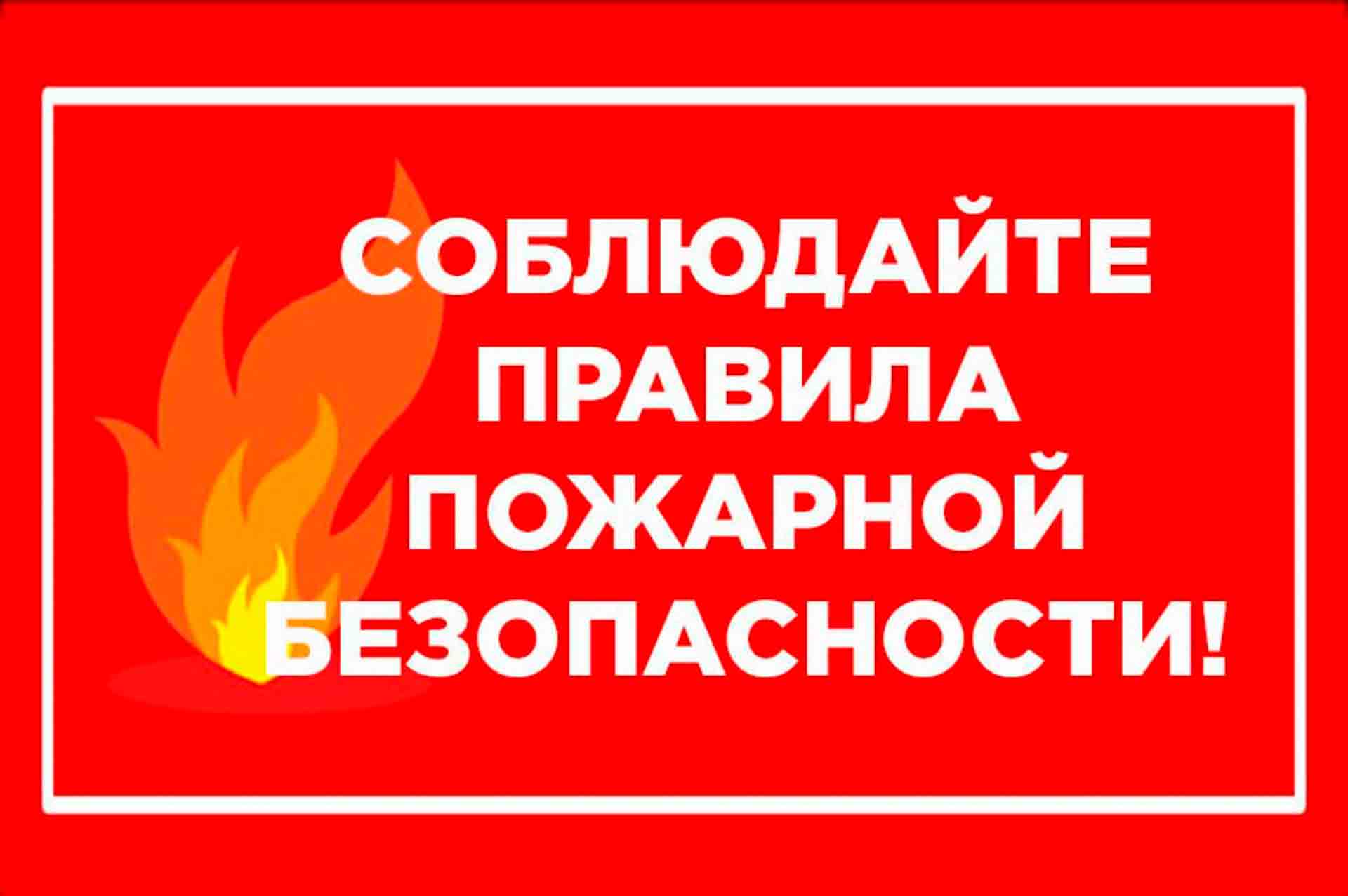 пб3.jpg