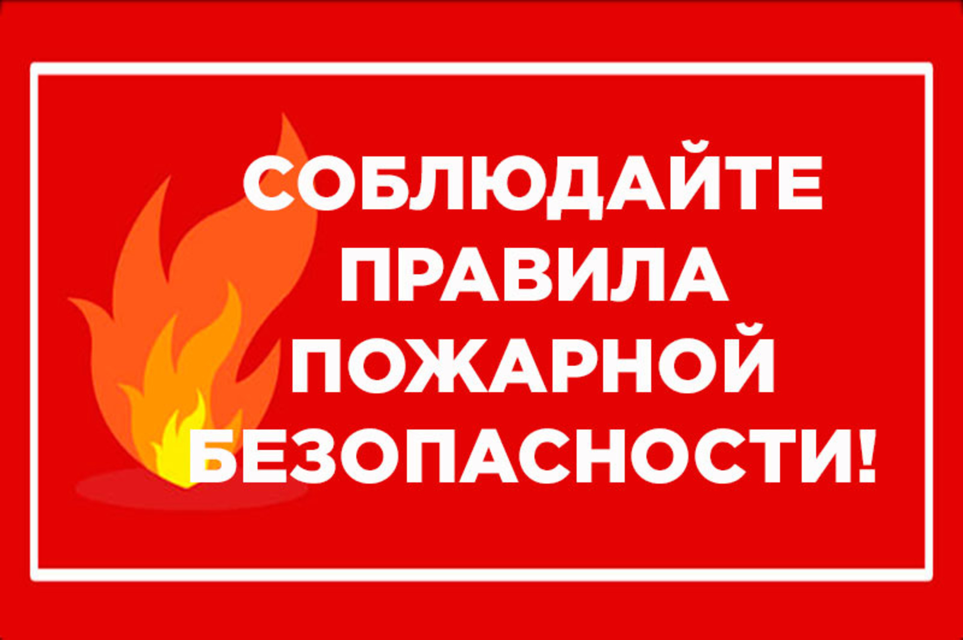 с2.jpg